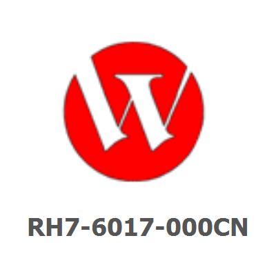 RH7-6017-000CN Power switch (rocker)
